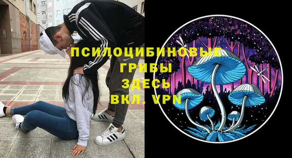 гидра Нея