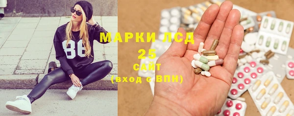 индика Новокубанск