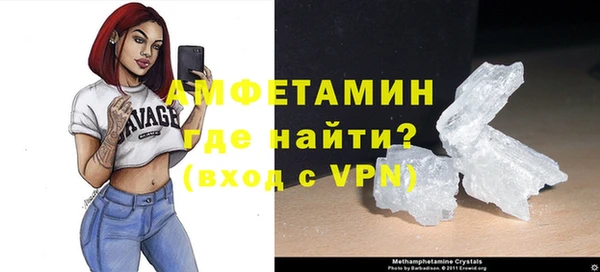 индика Новокубанск