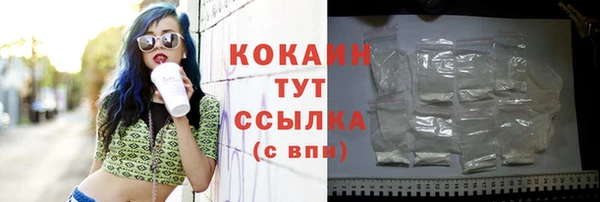 индика Новокубанск