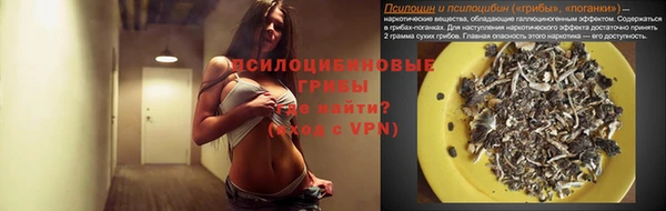 кокс Дмитровск