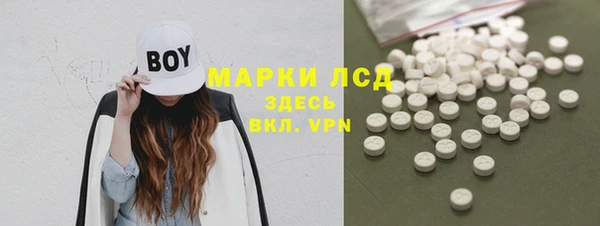 гидра Нея