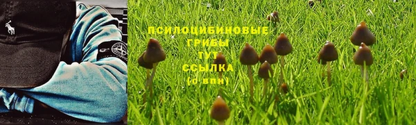 mix Сатка