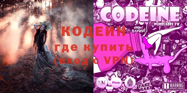 индика Новокубанск